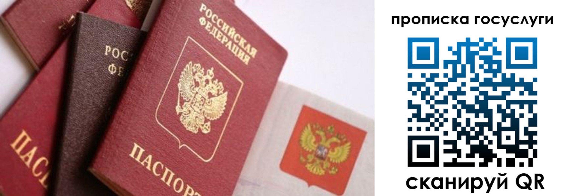 прописка законно в Марий Эл